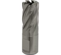 Rotabor Cutter HSS Ø19mm - Cut Depth 25mm