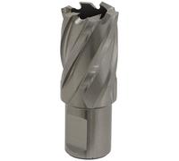 Sealey Rotabor Weldon Shank HSS Mag Drill Cutter