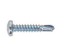 Sealey Self-Drilling Screw 4.8 X 25mm Pan Head Phillips Zinc Pack Of 100 Sdph4825