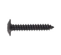 Sealey BST4225 Self-Tapping Screw 4.2 X 25Mm Flanged Head Black Pozi Pack Of 100