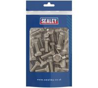 Sealey Stainless Steel Hex Head Set Screw M10 X 25 A2, DI