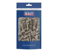 Sealey Stainless Steel Hex Head Set Screw M10 X 25 A2, DIN 933 Pack of 25 S1025