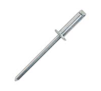 Sealey Steel Rivet Standard Flange 4.8 x 16.5mm Pack of 200