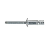 Sealey Steel Structural Rivets MB6332 - Zinc Plated 6.3 x 32mm - Pack of 100