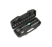 Sealey Stw911B Torque Wrench Set 1/4"sq Drive 5-25Nm 14Pc