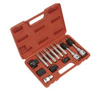 Sealey Alternator Freewheel Removal Set 13pc