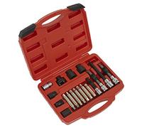 Sealey SX402 Alternator Freewheel Pulley Removal Set 18Pc