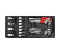 Sealey Tbt07 Tool Tray with Hex/Ball-End Hex Keys and Socket Bit Set 29Pc