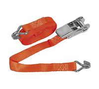 Sealey Td0845J Ratchet Tie Down 25Mm X 4.5Mtr Polyester Webbing 800Kg Load Test