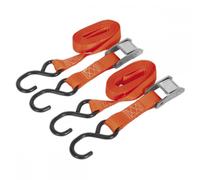 Sealey Cam Buckle Tie Down 25mm x 2.5M Polyester Webbing with S Hooks 250kg Load
