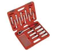 Sealey Vs0331 Shock Absorber Strut Nut Kit 18Pc