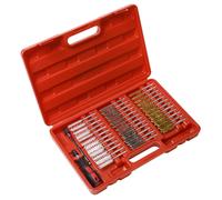 Sealey Cleaning Brush Set Injector Bore 38pc VS1910, Red