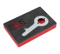 Sealey Diesel Engine Timing Tool Kit Ford 2.0TDCi EcoBlue Belt Drive VS5285 Red