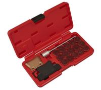 Sealey Vs665 Gasket Separator & Cleaning Kit 21Pc