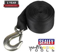 Sealey Winch Strap 900kg 10m Webbing Strap Lifting