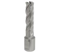 Sealey Worksafe® 15mm HSS Mag Drill Bit Cut Depth 50mm RBHSS15L