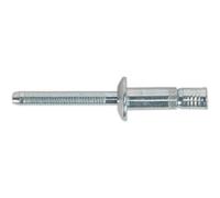 Sealey Zinc Plated Steel Structural Rivets 6.3mm 32mm Pack of 100