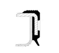Sealing ring PTFE (polytetrafluoroethylene) 19035867B CORTECO