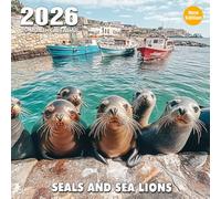 Seals and Sea Lions 2026 Calendar: Coastal cuties splashing through the surf