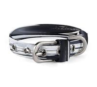 Seals on Ice Pet Collar, Oxford Cloth Pet Collar 7.9-10.4 Inch, Soft Breathable Adjustable Dog Collar with Safe Buckle, Durable Wear-Resistant Collar for Puppy Dogs and Cats