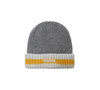 SEALSKINZ | Holkham | Unisex Waterproof Cold Weather Striped Roll Cuff Beanie Hat | for Everyday & Outdoor Activities | Warm Fleece Lining | Three-Layer Insulation Technology Grey