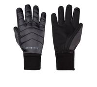 Sealskinz Waterproof All Weather Gloves