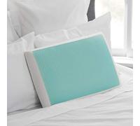 Sealy 24X16X5.75 SE '19 Essentials SM Aqua Bubble Gel Sheet Bed 1MC (US) Pillow, White