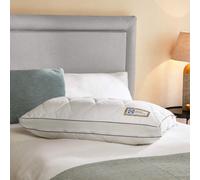Sealy Airflow Memory Foam Pillow