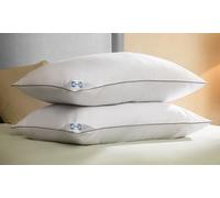 Sealy Anti Allergy Pillows or Mattress Topper: Anti Allergy Topper - Super King