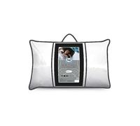 Sealy Deeply Full Pillow White
