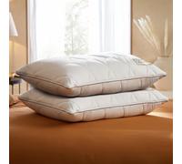 Sealy Dual Comfort Memory Foam Pillow - 2 Pack (100206001): Soft Hollowfibre + Firm Foam, Breathable Cotton Cover