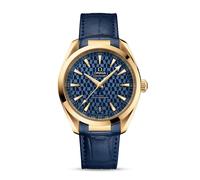 Seamaster Aqua Terra Mens 41mm Automatic Watch