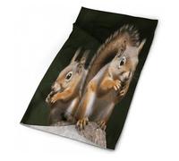 Seamless Multifunctional Magic Headscarf,Squirrel Animal Cycling Mask Warm And Versatile Face Scarf Neck Cover Windproof Neck Scarf