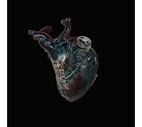 Seamus Blake - Guardians Of The Heart Machine