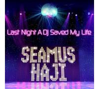 Seamus Haji - Last Night a DJ Saved My Life [12" VINYL]