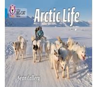 Sean Callery Arctic Life Paperback Book Sean Callery Multicolor