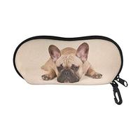 SEANATIVE Eyewear Storage Case with Carabiner Hook Cute French Bulldog Crushproof Sunglasses Reading Glasses Pouch Spectacle Case for Boys Girls