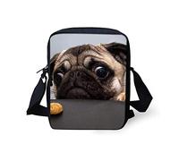 SEANATIVE Gym Sports Cash Key Storage Organizer Purse Foolish Pug Design Zipper Waterproof Travel Cell Phone Cutch Organizer for Women Kids