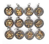 Seaoyoema 12Pcs Constellations Pendant Stainless Steel Round Shape Double - Sided DIY Jewelry Making Kit, Zodiac Symbol for Necklaces Bracelets Keychains and Home Decor