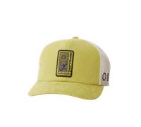 Search Dawn Trucker Cap in Kiwi