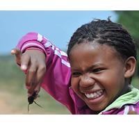 Search for the Big Seven Part 2: The Big One