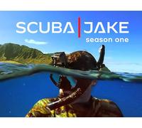 Search for the Shark Tooth