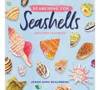 Searching for Seashells Mini Wall Calendar 2026