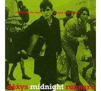 Searching For The Young Soul Rebels