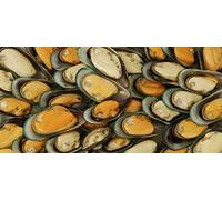 searigs Sea Fishing - Extract Bait Oil Black Lugworm, Crab, Mackerel and Bluey, Squid and Cuttlefish, Prawn and Crab, Rag worm, Sea Fishing Bait for Cod, Bass, Sole, Conger (Mussel & Razorclam)