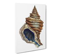 Seashell By George Shaw Vintage Canvas Wall Art Print Ready to Hang, Framed Picture for Living Room Bedroom Home Office Décor, 24x16 Inch (60x40 cm)