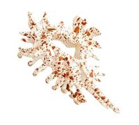 Seashell Clasp Hair Accessory, Oceans-Inspired Hairs Accessory, Non-Slip Hair Claw Clip, Scene-Responsive Chromatic Design, Abs Material, 11.5cm, For Weddings, Vacations, Daily Wear & Parties