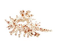 Seashell Clasp Hair Accessory, Women Hair Clips, Shells Hair Claw Catcher, 11.5cm, Whimsical Oceans Inspired Design, Non-Slip Grip, Ideal for Women, Girl, Teens
