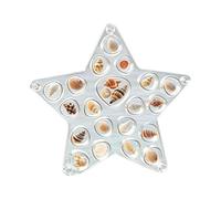 Seashell Display Box | Clear Decorative Elegant Organizer - Starfish Seashell Organizer,for Shark Tooth Rings Earrings Ear Studs Women Girls Girlfriend