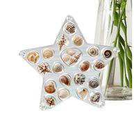 Seashell Display Case | Clear Decorative Elegant Organizer | Starfish Seashell Collection Box,for Shark Tooth Rings Earrings Ear Studs Women Girls Girlfriend